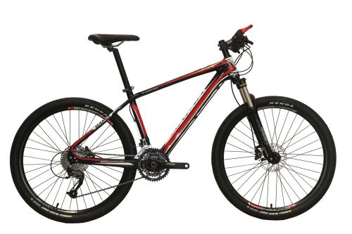 ALLOY FRAME AND FORK MTB For Sales