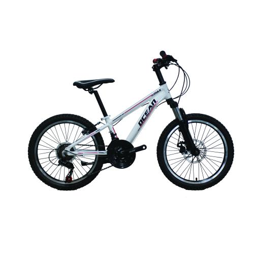2017 hot sale MTB bicycle with alloyframe