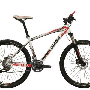 26 INCHES CARBON FIBER MOUNTAIN BICYCLE FOR SALES
