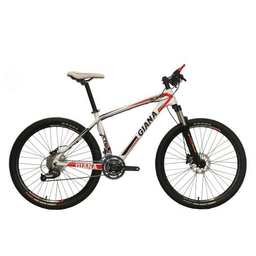 26 INCHES CARBON FIBER MOUNTAIN BICYCLE FOR SALES