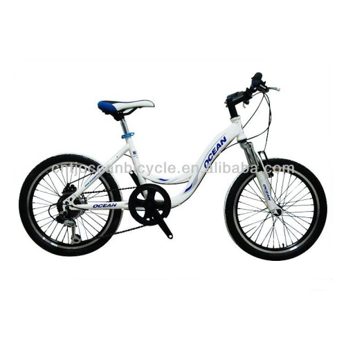 lovely children bicycle kids bike