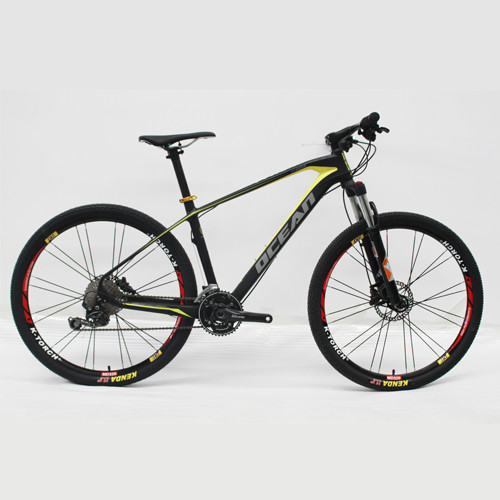 CARBON FIBER FRAME Mountain bike