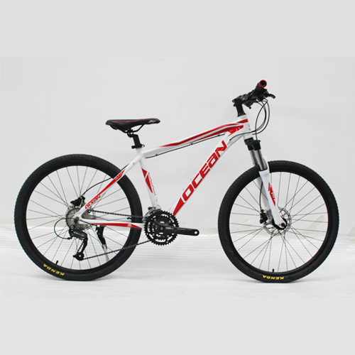 26 INCH Alloy frame QUANDO HUB Mountain bike