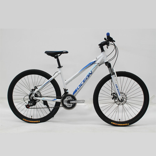 26 INCH ALLOY FRAME MOUNTAIN BICYCLE