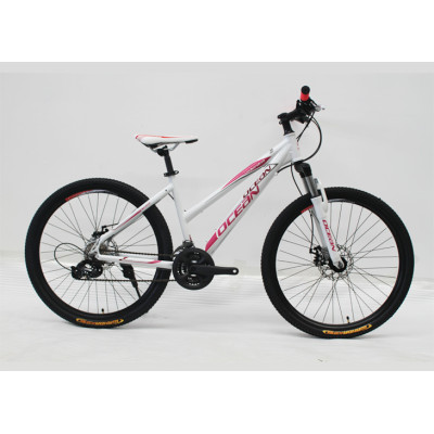 26 INCH ALLOY FRAME AND STEEL SUS FORK Mountain bike