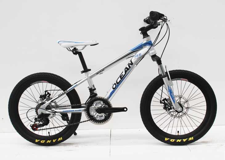 ocean bike