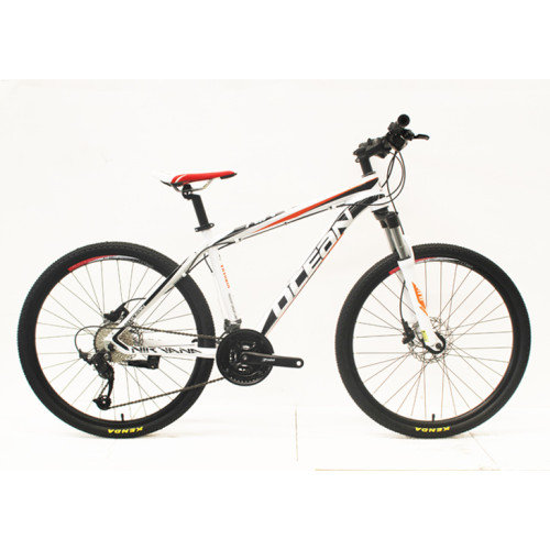 26”ALLOY FRAME ALLOY MECHANICAL LOCK OUT FORK MOUNTAIN BIKE