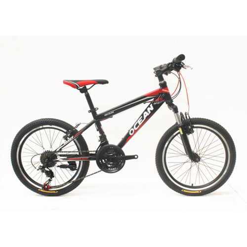 20 INCHES STEEL FRAME KIDS BIKE