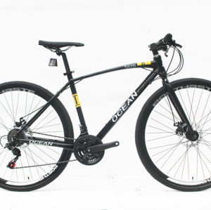 700C ALLOY FRAME  STEEL FORK ROAD BIKE