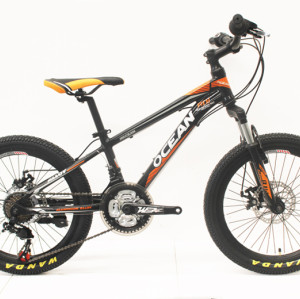 20 INCH STEEL FRAME STEEL SUSPENSION FORK MOUNTAIN BIKE