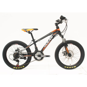 20 INCH STEEL FRAME STEEL SUSPENSION FORK MOUNTAIN BIKE