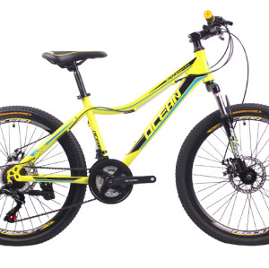 24 inch Steel frame steel fork SHIMANO 21 speed Disc brake Mountain bike MTB