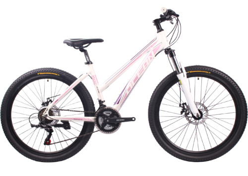 26 inch Alloy frame Half-Alloy lockable fork SHIMANO 21 speed disc brake Mountain bike MTB bicycle
