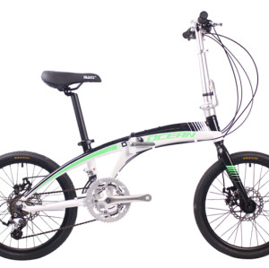 20 inch Alloy frame alloy fork 18 speed Double disc brake Folding bike bicycle OC-18F2018A63