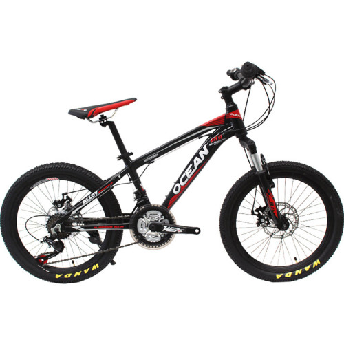 20 inch Alloy frame alloy Steel suspension fork 21 speed Double disc brake Kids bicycle