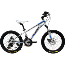 20 inch Alloy frame alloy Steel suspension fork 21 speed Double disc brake Kids bicycle OC-17M20021A03