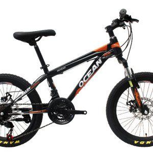 20 inch steel frame alloy Steel suspension fork 21 speed Double disc brake Kids bicycle OC-17M20021S05