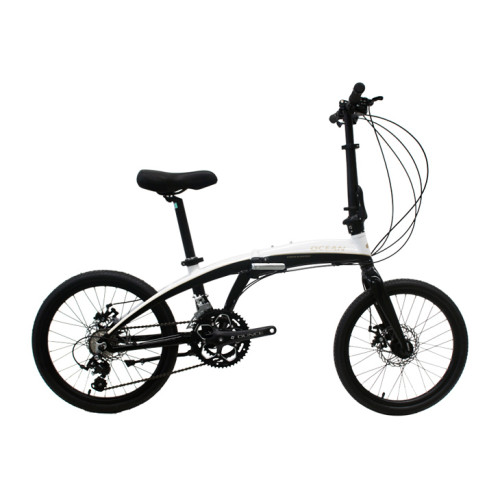 20 inch Alloy frame and alloy rigid fork 18 speed double disc brake folding bicycle