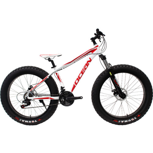 26 inch Alloy frame and alloy lockable Fat beach bike EZ-FIRE 21 speed Disc brake Fat bicycle OC-17M26021FB1