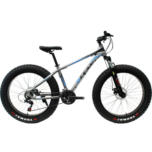 26 inch Alloy frame and alloy lockable Fat beach bike EZ-FIRE 21 speed Disc brake Fat bicycle OC-17M26021FB2