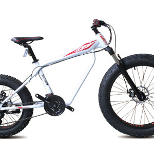 Aluminum alloy Front 26 inch rear 20 inch SHIMANO 24 speed Double disc brake Fat bicycle