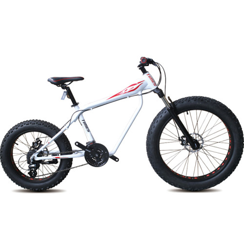 Aluminum alloy Front 26 inch rear 20 inch SHIMANO 24 speed Double disc brake Fat bicycle