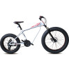 Aluminum alloy Front 26 inch rear 20 inch SHIMANO 24 speed Double disc brake Fat bicycle