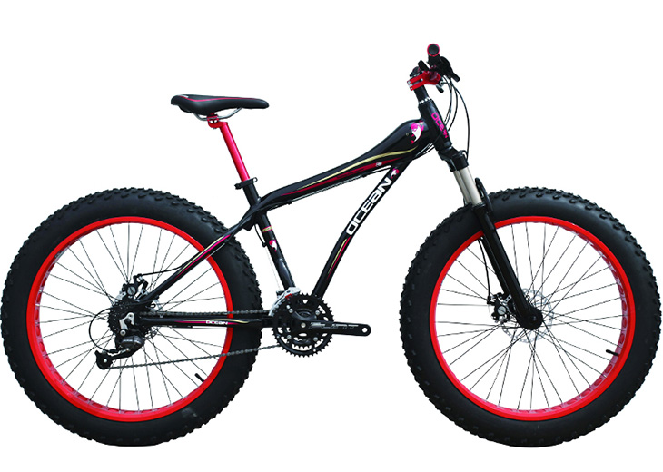 fat bike manufacturers