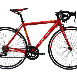 700C racing Alloy frame and Steel rigid fork SHIMANO 14 speed Double wall rim road bike OC-17R70014AA