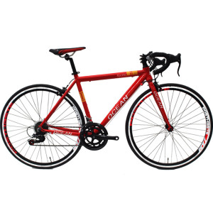 700C racing Alloy frame and Steel rigid fork SHIMANO 14 speed Double wall rim road bike OC-17R70014AA