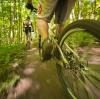 How tire size and width impacts your mountain bike experience ?