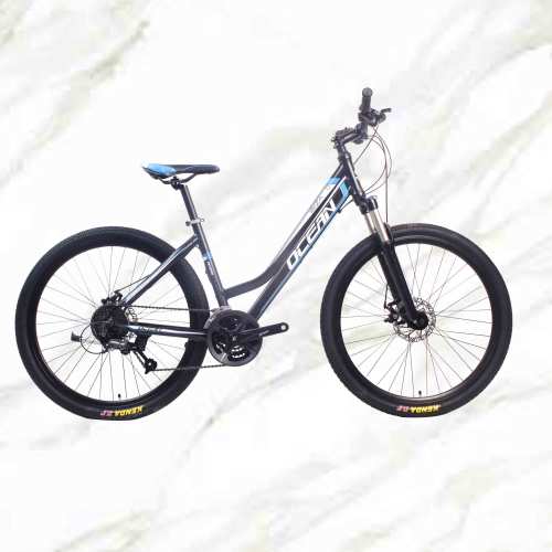 27.5 inch 27sp MTB Adult Bike Alloy Frame Alloy Lockable Sus Fork Double Disc Brake Mountain Bike