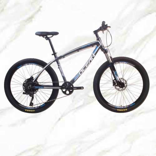 Adult Mountain Bike 26