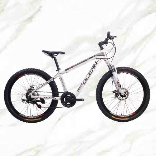 Cheap Price Boutique bicycle Mountain Bike 26 inch Alloy Frame Steel Fork 21sp Double Disc Brake MTB For Sale