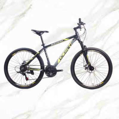 New Style bicycle Mountain Bike 26 inch Alloy Frame Steel Fork 21sp Double Disc Brake MTB For Sale