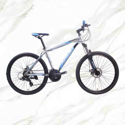 Cheap Price Boutique bicycle Mountain Bike 26 inch Alloy Frame Steel Fork 21sp Double Disc Brake MTB For Sale OC-19M020