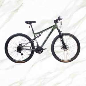 2019 New Style bicycle Mountain Bike 29 inch Alloy Frame Steel Fork 21sp Double Disc Brake MTB For Sale