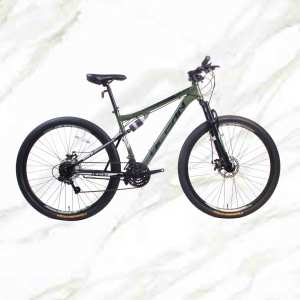 2019 New Style bicycle Mountain Bike 29 inch Alloy Frame Steel Fork 21sp Double Disc Brake MTB For Sale