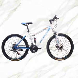 Cheap Price Boutique bicycle Mountain Bike 26 inch Steel Frame Steel Fork 21sp Double Disc Brake MTB For Sale