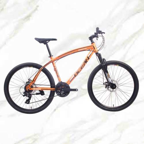 Boutique bicycle Mountain Bike 26 inch Steel Frame Steel Fork 21sp Double Disc Brake MTB For Sale