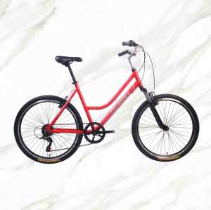 2020New Style Adult City Bike 26