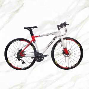Good Products New Style Road Bike 700c Alloy Frame Alloy Fork 30sp Double Disc Brake Adult For Sale