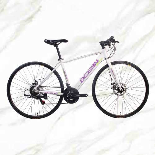 Adult Road Bike 700c Alloy Frame Steel Fork 21sp Double Disc Brake Adult Bicycle Road Bike For Sale