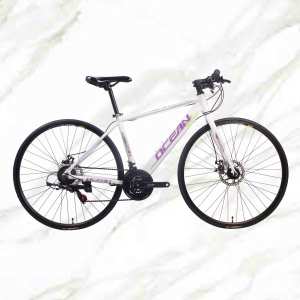 Adult Road Bike 700c Alloy Frame Steel Fork 21sp Double Disc Brake Adult Bicycle Road Bike For Sale