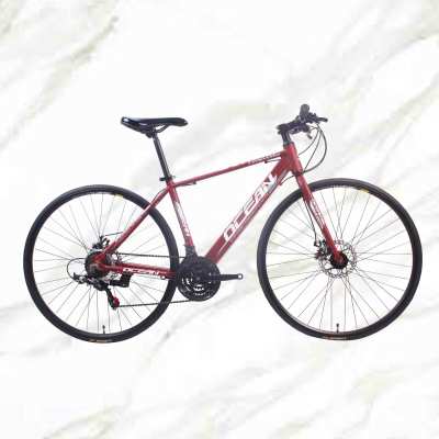 Cheap Price Good Product Road Bike 700c Alloy Frame Steel Fork 21sp Double Disc Brake For Sale