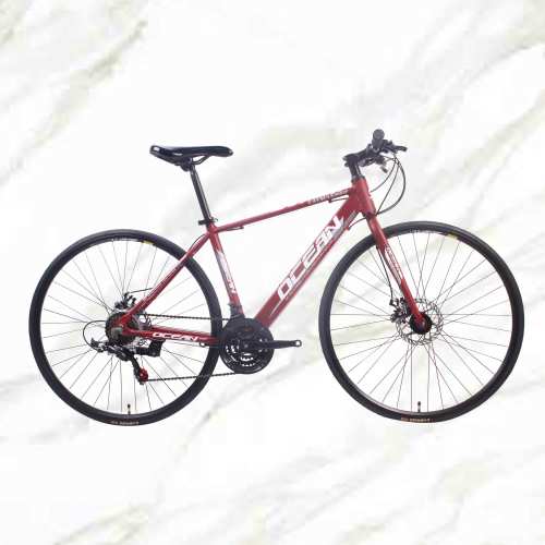 Cheap Price Good Product Road Bike 700c Alloy Frame Steel Fork 21sp Double Disc Brake For Sale