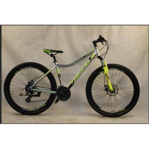29 inch Alloy frame 21 speed disc brake Mountain bike MTB bicycle OC-20M29A009