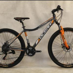 29 inch Alloy frame Half-alloy fork 21 speed disc brake Mountain bike MTB bicycle OC-20M29A010