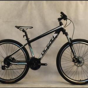 29 inch Alloy frame Half-alloy fork 21 speed disc brake Mountain bike MTB bicycle OC-20M29A009
