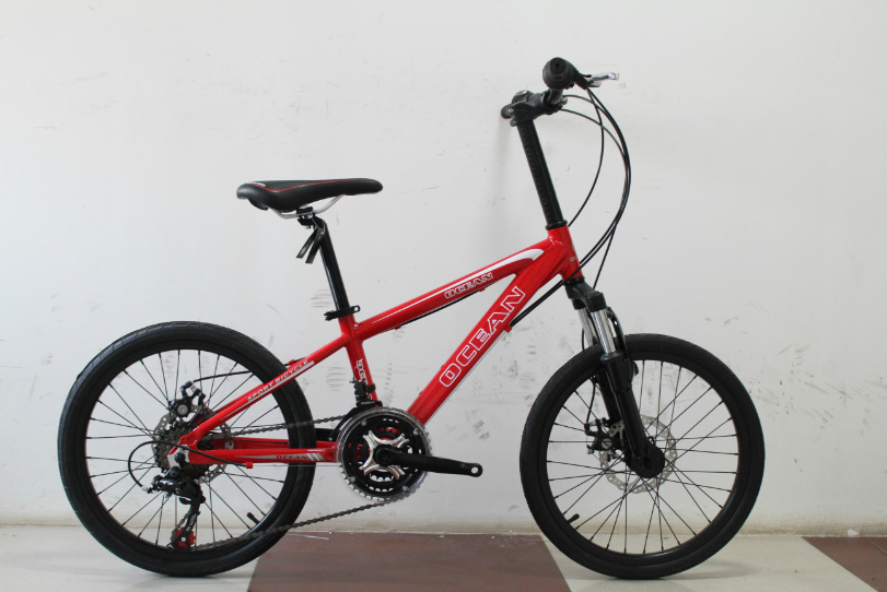 aluminum frame kids bike